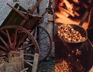 Ripresa Emozionante Per I Camp