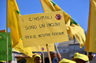 Risarcimenti E Riforme Per I C