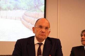 Risarcimenti Per I Beni Distru