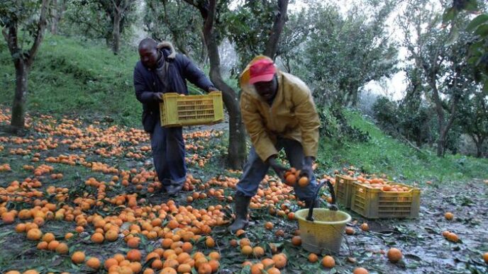 Rischio Crescente Nella Tendop