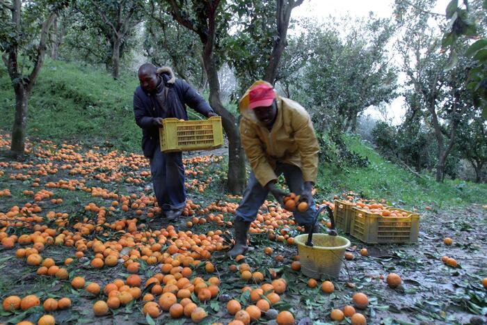 Rischio Crescente Nella Tendop