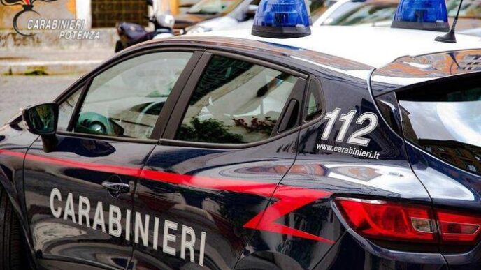 Ritiro Di Patenti E Controlli