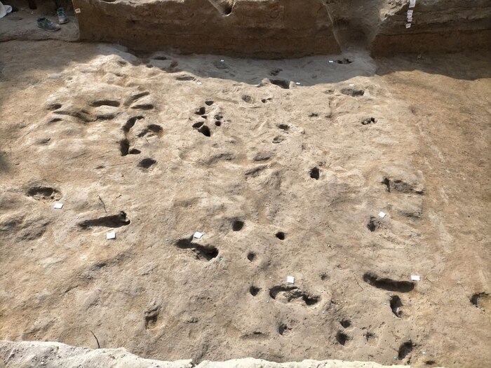 Scoperte Archeologiche In Camp