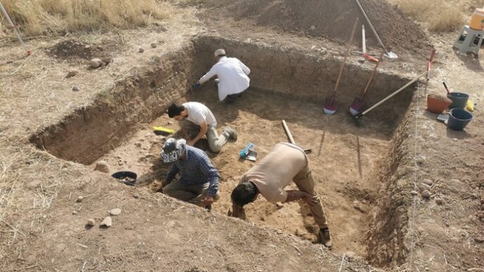 Scoperte Archeologiche Nel Kur