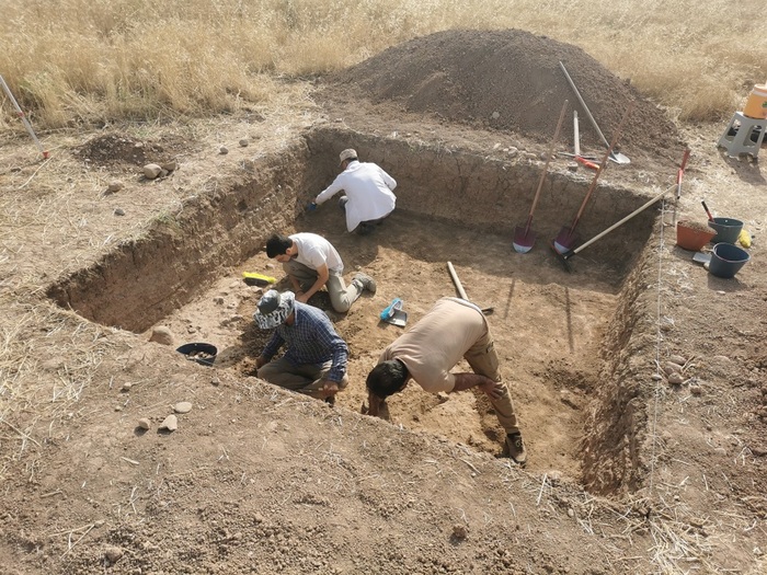 Scoperte Archeologiche Nel Kur