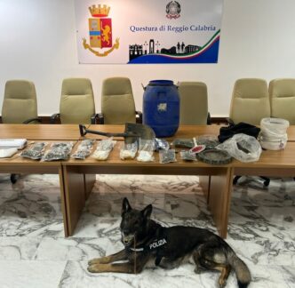 Scoperto In Calabria Un Traffi