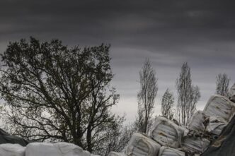 Sentenza Storica Sulla Terra D