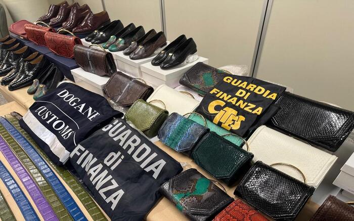 Sequestrati Accessori Di Lusso