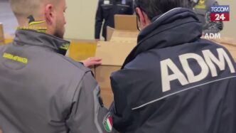 Sequestro Di Modellini Di Elic