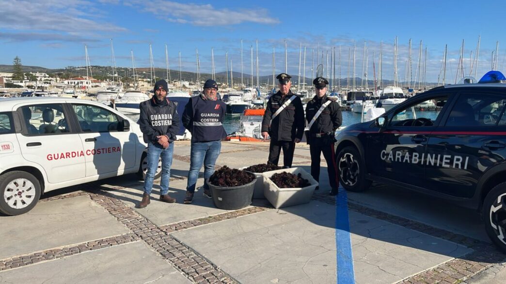 Sequestro Di Pescato A Santa M