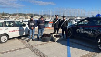 Sequestro Di Pescato A Santa M