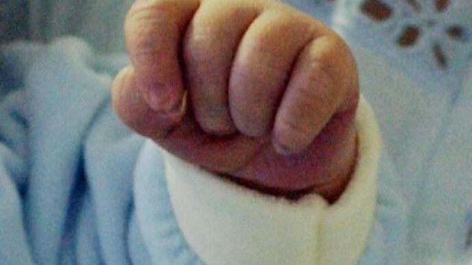 Sgominato Il Caso Del Rapiment