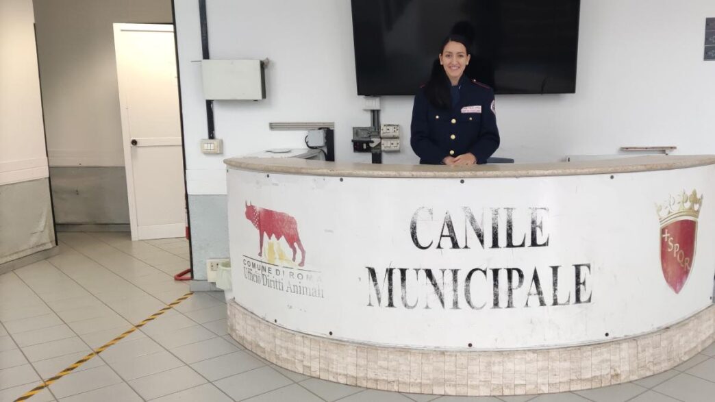 Sicurezza Incrementata Al Cani