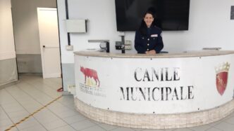 Sicurezza Incrementata Al Cani