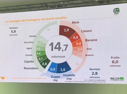 Successo Del Progetto Ite28099S Bio