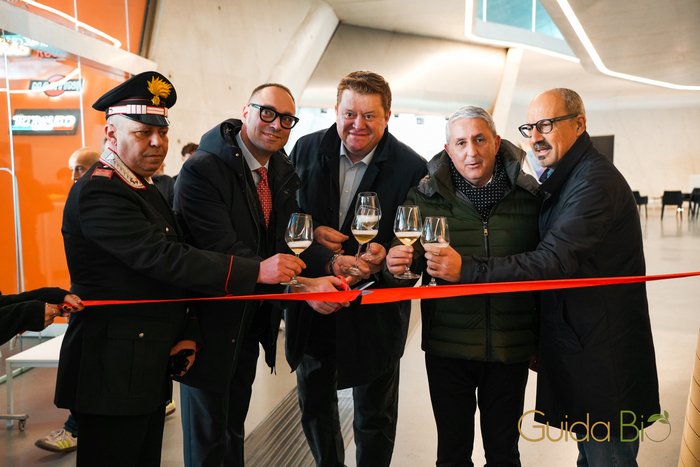 Successo Per Un Mare Di Foglie