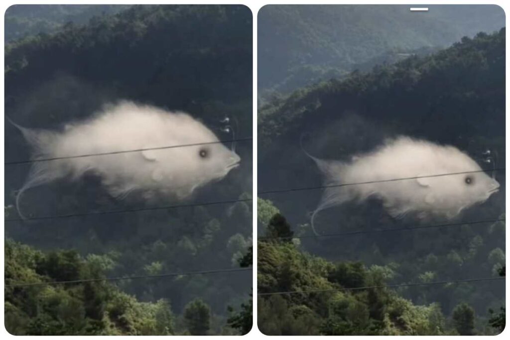 Scopri chi sei con il test