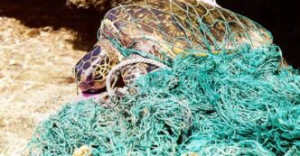 Un Intervento Decisivo3A Recupe