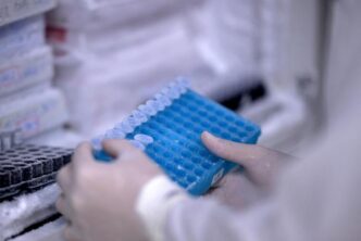 Una Mappa Genetica Rivela Come