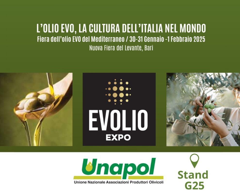 Unapol Presenta L27Eccellenza D