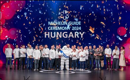 Ungheria 20243A Un Anno Da Asso