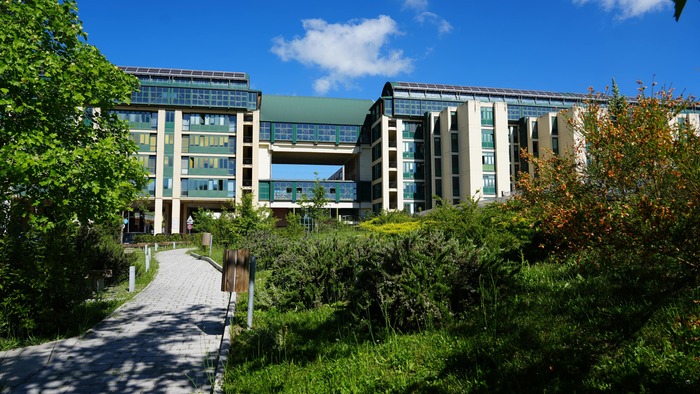 Universitc3A0 Della Basilicata3A Q
