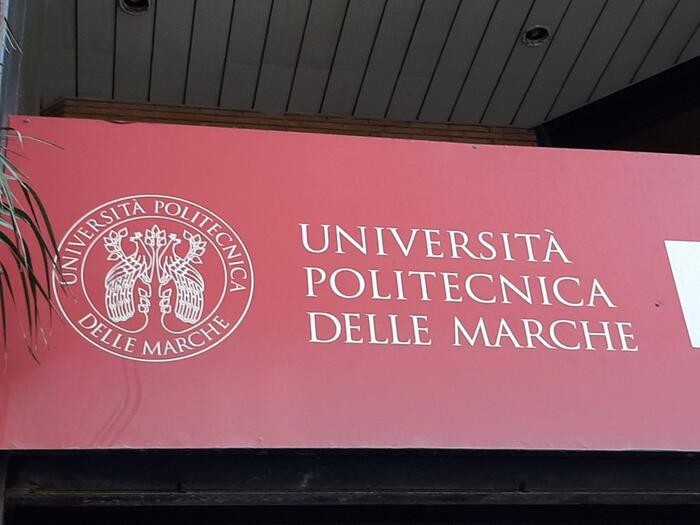 Universitc3A0 Delle Marche Sollec
