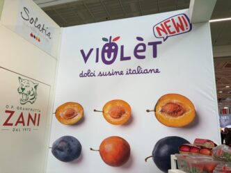 Zani Presenta Viulc3A8T3A Le Nuove