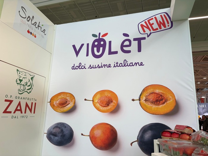 Zani Presenta Viulc3A8T3A Le Nuove