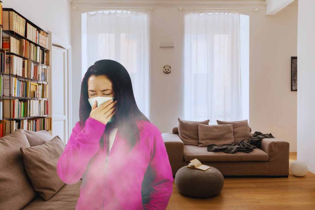 Oggetti Che Inquinano L'Aria In Casa