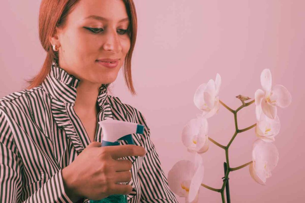 fertilizzante naturale per orchidee