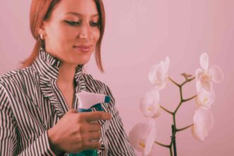 Fertilizzante Naturale Per Orchidee