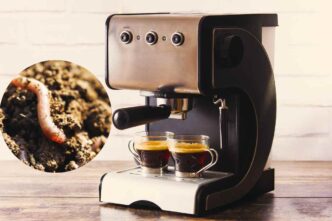 Come Evitare La Formazione Dei Vermi Nella Macchina Del Caffè