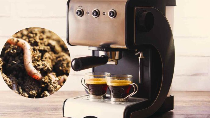 Come Evitare La Formazione Dei Vermi Nella Macchina Del Caffè