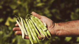 22Aggiungi Un Legume A Tavola223A