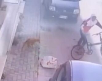 Abbandono Di Un Cane A Crispan