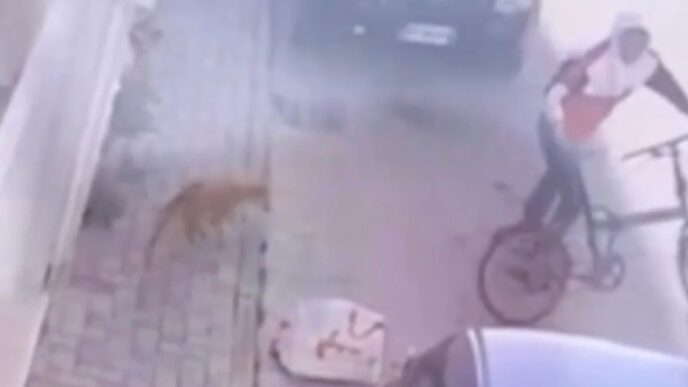 Abbandono Di Un Cane A Crispan