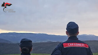 Abbandono Di Unitc3A0 Animali A A