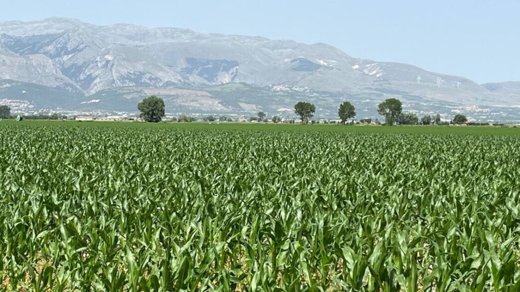 Abruzzo2C Il Settore Agricolo I