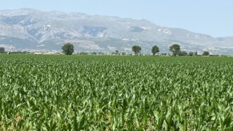 Abruzzo2C Il Settore Agricolo I
