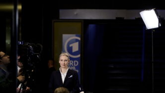 Afd3A Il Predominio Nelle Elezi
