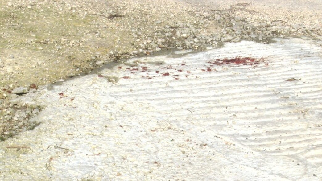 Aggressione A Cesinali3A Nuove