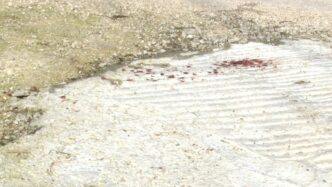 Aggressione A Cesinali3A Nuove