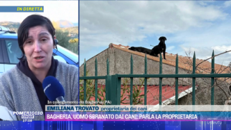 Aggressione Canine3A La Proprie