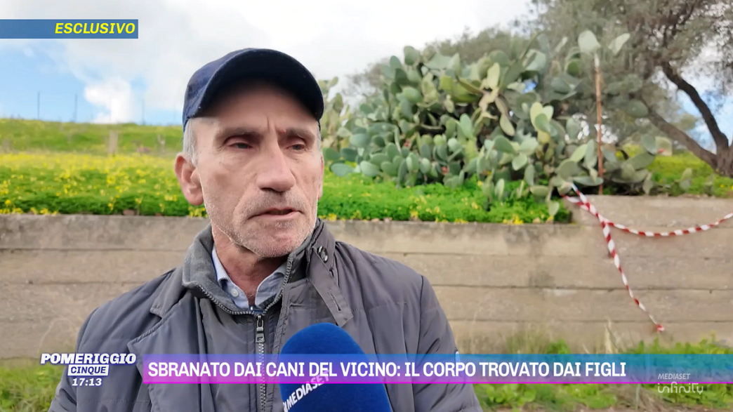 Aggressione E Tragedia3A Una Fa