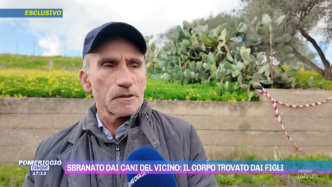 Aggressione E Tragedia3A Una Fa