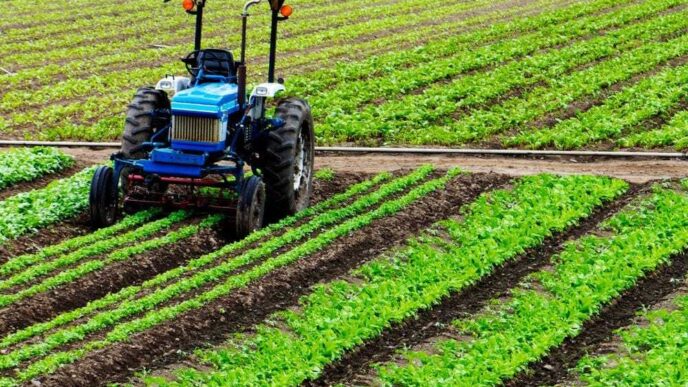 Agricoltura Abruzzese In Crisi