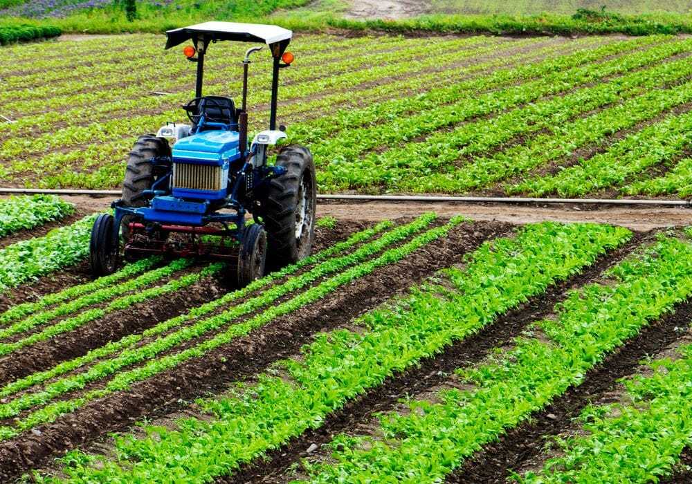 Agricoltura Abruzzese In Crisi