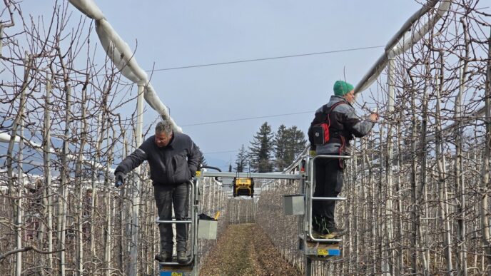Agricoltura Solidale In Trenti