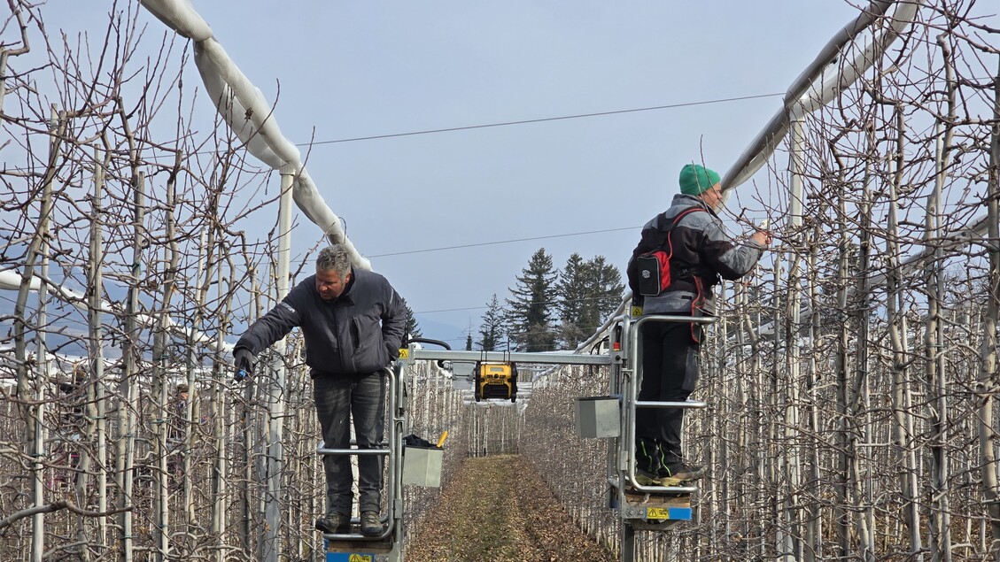 Agricoltura Solidale In Trenti